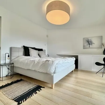 Apartment Design Chatelet *